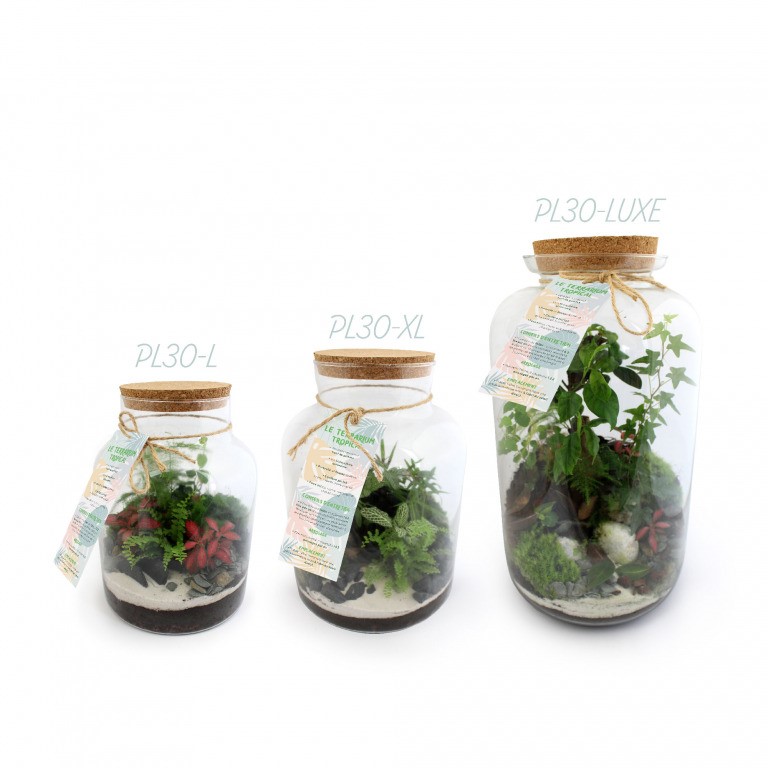  Terrariums personnalisable en verre avec bouchon en liège. Made in France.